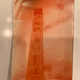 Untitled Collection #20476643