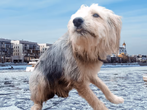 Untitled Collection #32376110