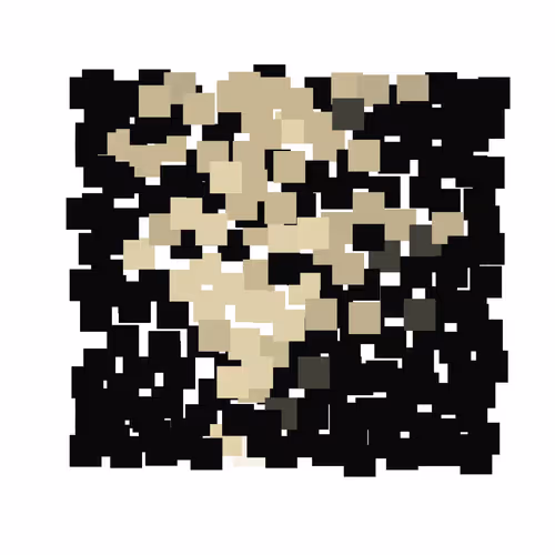 LIVE_LOVE_LAKE Collection