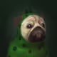 54981226985086508539165857413786484019311024917486408417214996827352762155018