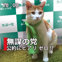 「むぼうの党」公約に ヒアリゼロ!?