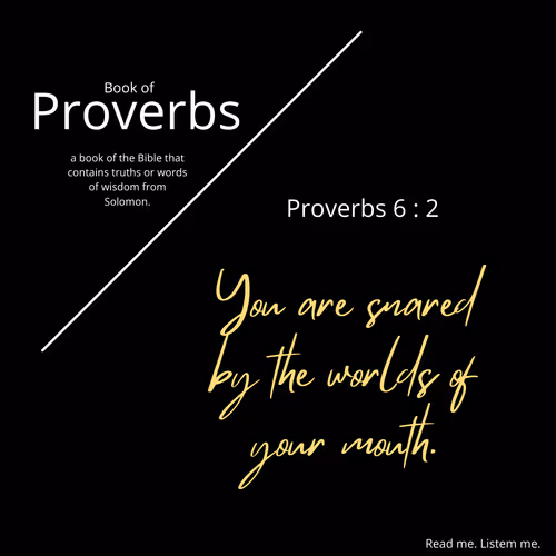 Item #57006613272706174928145128090697043593557646950666808153259424437526027304961 Media