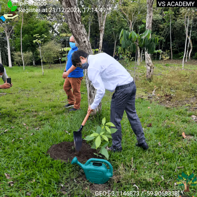 Item #8500196597889277390194123329501889087166328879864934763448348854502639534081 Media