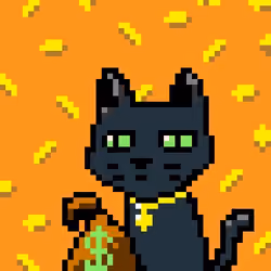 punk cat