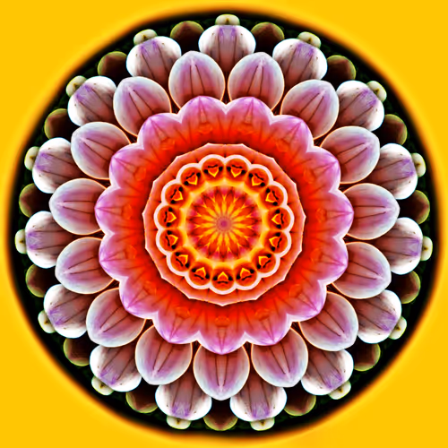 Item #24395386274343029261920860827370507036030585695313921146237266046386618499073 Media