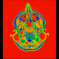 64162533542198579898252916190583583845604629893829087458582975649035482824705