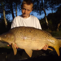 Young french carp