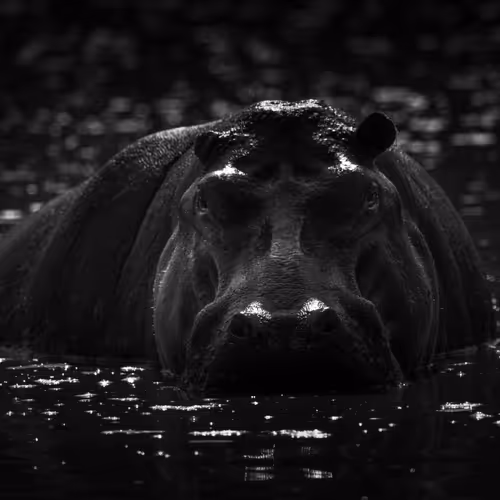 95133208909009756049449667206279702741709602474386148619312528432251747172353