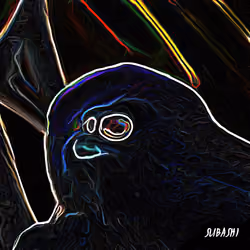 Karasu