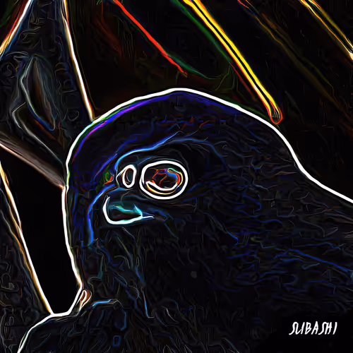 Item #51823728985939034062886243384892974104749538993457925112096062476727535796225 Media