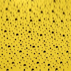 111959947651697492086722085074739668450706274475027751123383059596992296517633