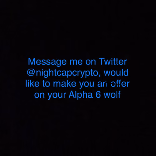 Alpha 6 Offer. Couldn't contact you