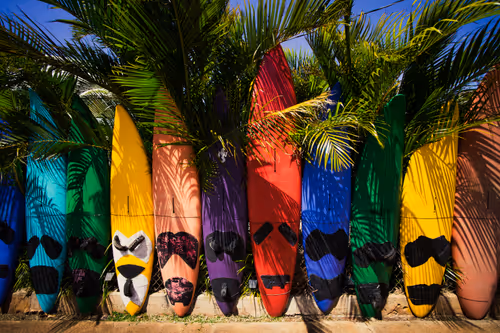 Item #38069088421557280780080489884356511775313840977413642295707171778655321849857 Media