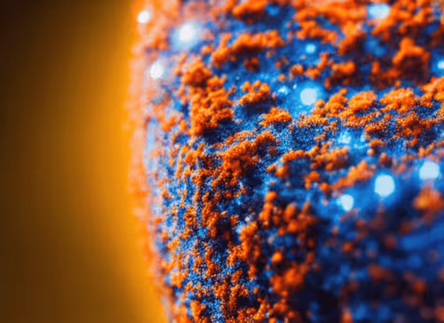 Item #98695163844141812296559601516468632585703412525772017875852753250567275413505 Media