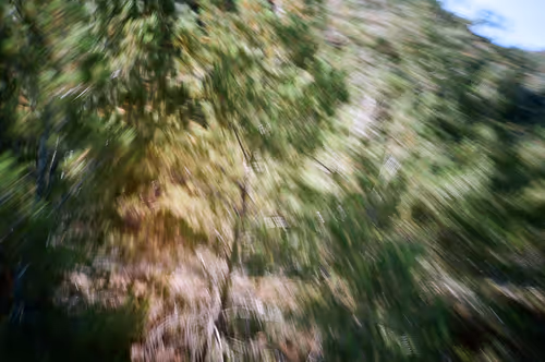 Item #38495668349306452240688866721683925223246116077147746545727998327159210901604 Media