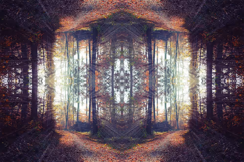 Item #26643604797518204849163684509357989170252701494648665154724968736018434883585 Media