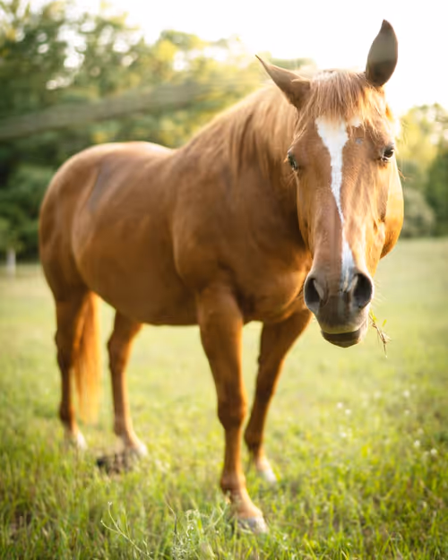 Item #69017446822111679045045995670166594693570264326858051534012552081966607892481 Media