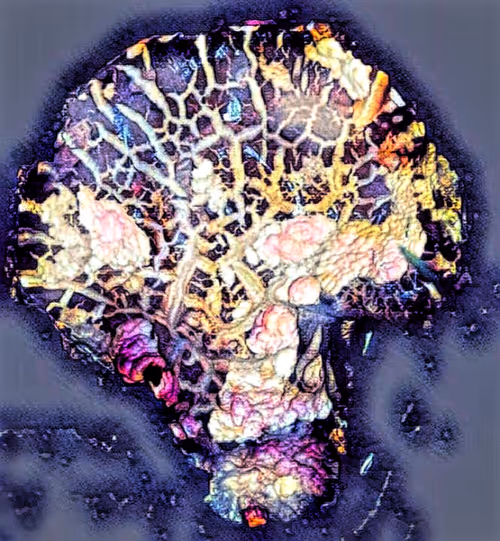 Item #80050559332347163335601971796963442430023304175303914027877321167054038892644 Media