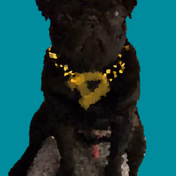 PixiPug Donut the Rapper Blue