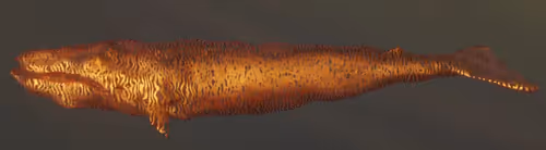 Item #104099004194732186528107260891908231378147874233508203101203207523637699543041 Media