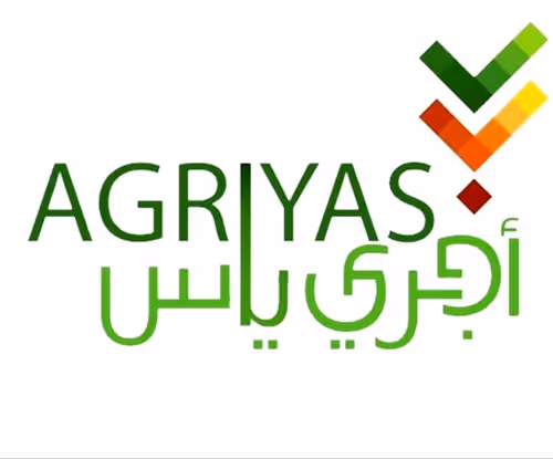 Item #45015293803174506557974572544723496726594108039402254278525098307610191331329 Media