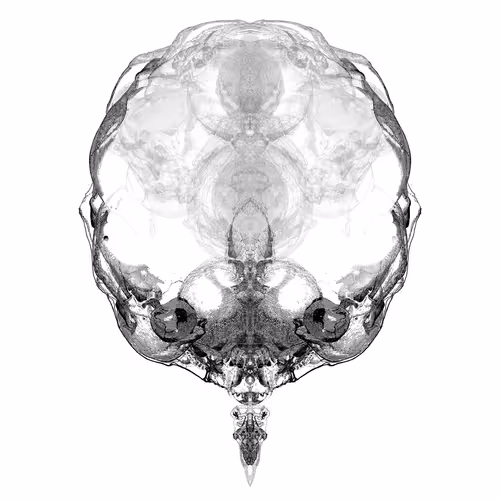 Item #85859191866638808365331437874953228966785819470149775310971063066902807969793 Media