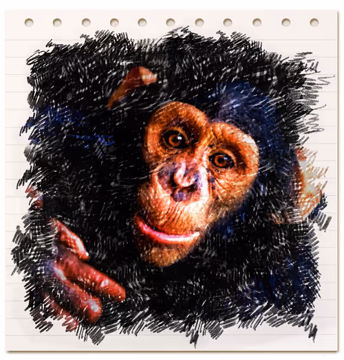 Item #38775667772334495200431258381610230883296000587885911426312875880277679800321 Media