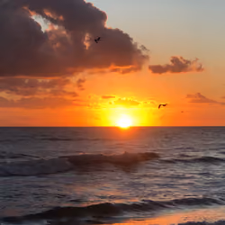 #25 Sunrise at Jensen Beach, Florida on 10/22/22
