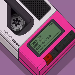 14337464899078308090890680210094370829109972660925672054970512474109969956865