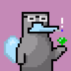 Platy Punk #382