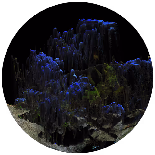 Item #3297889266964821186108216166808061648097153390725508810487041799283795820545 Media