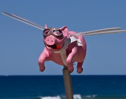 NFTARTISTCOLLECTOR99 Collection - old - old