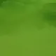 33835494960876119769607569265646615305871418633812317312256266429555076497409
