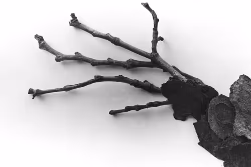 Item #95963115325190495901462437198116018062691407586283509903332718964007191445505 Media