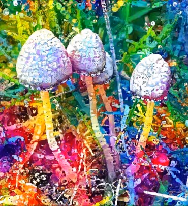 Item #98828088198769885069129805652987605738903563667474416042030428846703144599553 Media