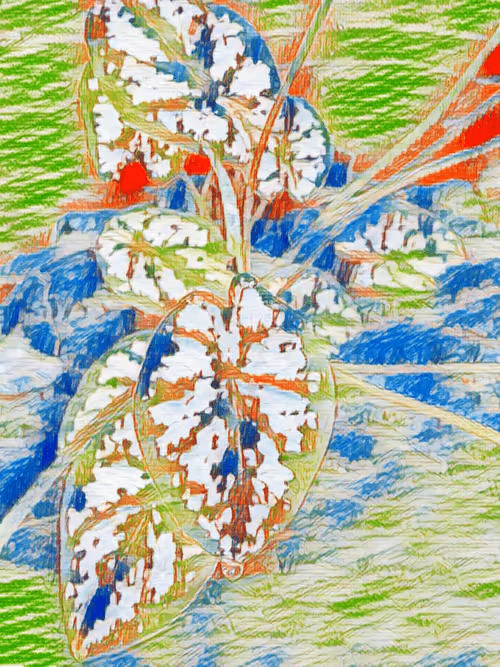 Item #69261177602478584146078213691104273677815526894191982293268527774879000297473 Media