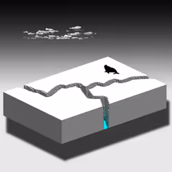 95006517630059983574496261216817445761656404588759348816225505110653449273345