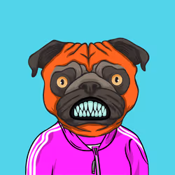 85536923797864075655485684241418953431230894352078393540716038959989285453825