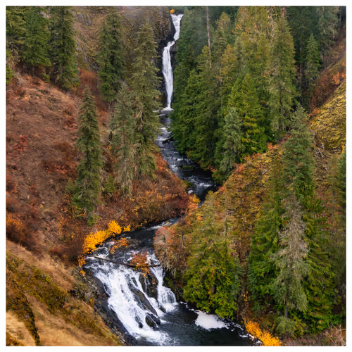 Item #8671568821573415901752303682552508191729886232355211831631862006779601747969 Media