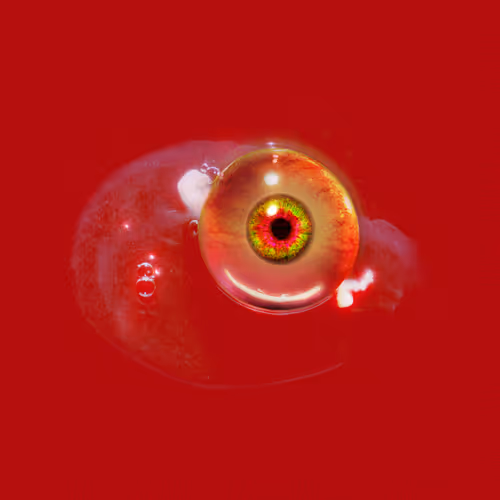 Item #111949141531655719589065996308699236556111057854959939341598673551354086031363 Media