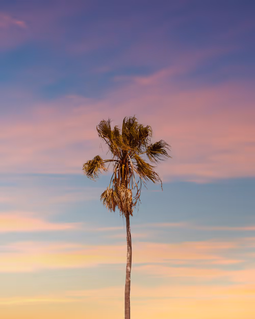 Item #91437098405588457721941204729205929938944474527971886254986814323108391944193 Media