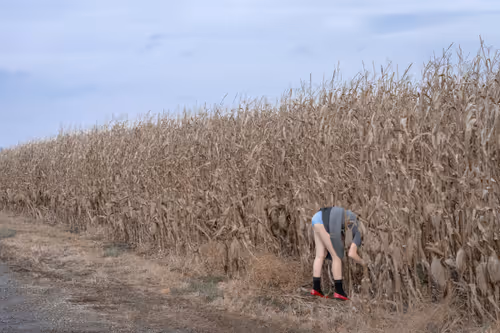 Item #66199238370220987817260704809787442862597280032429936774217036776510366679041 Media