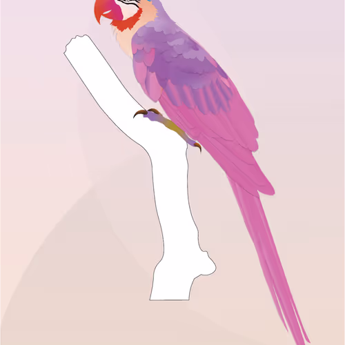 Vector Birds
