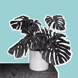 25379124807980713745219244606437574046087384809022650852355167112620423512065