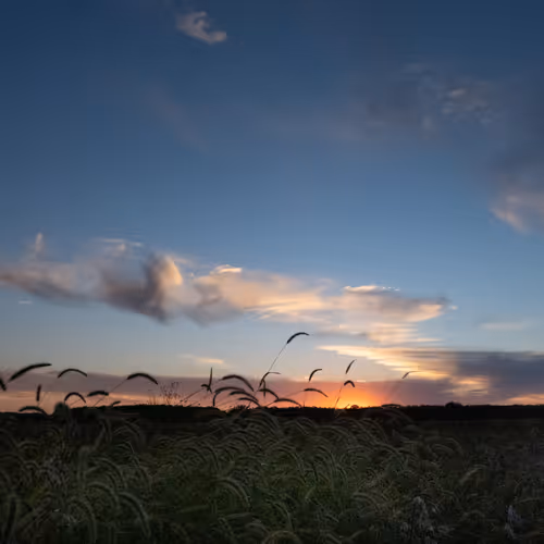 Honoring the Ancient Prarie