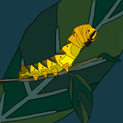 Caterpillar 010
