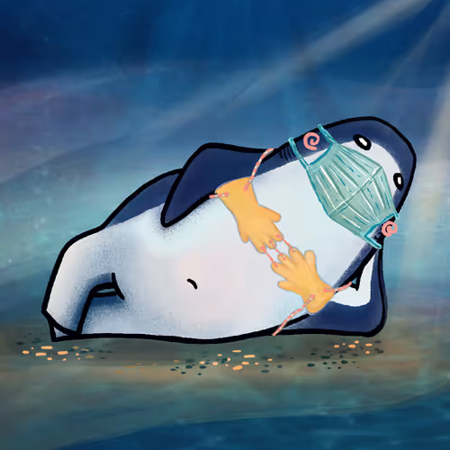 Seashow