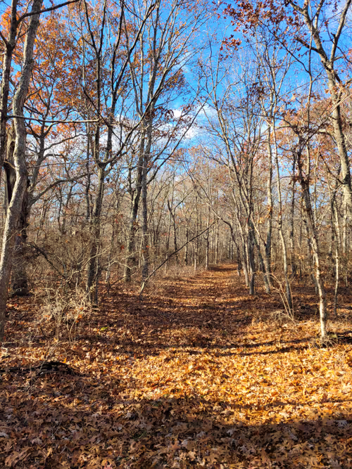 Item #34085441569699423005310991372941828806155687762378495952169943228562150522881 Media