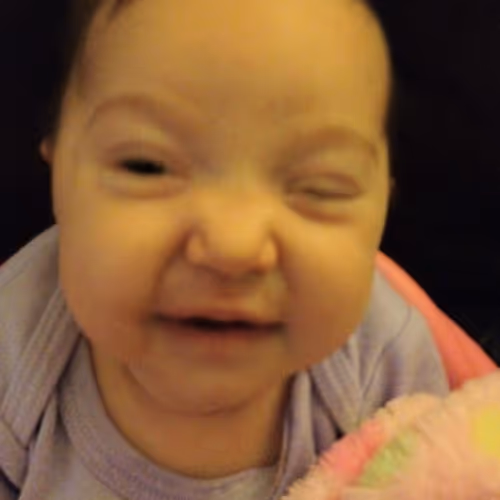 triprobert77 Collection