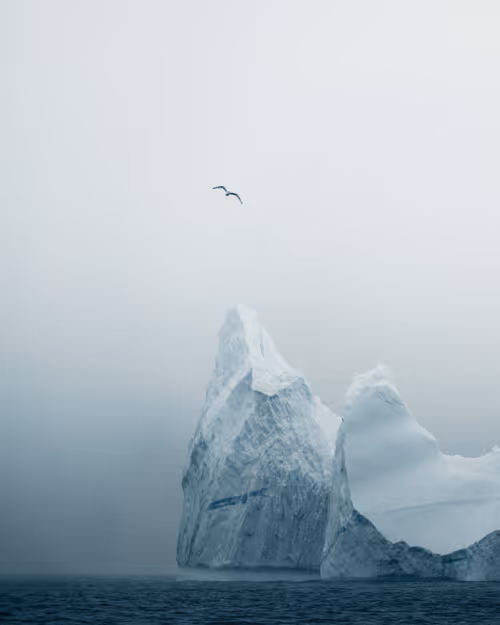 Item #59969087872528247593562305556961493003860374277083575615722774410404768514049 Media